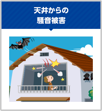 天井からの騒音被害