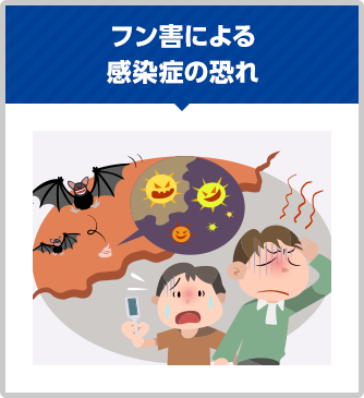 フン害による感染症の恐れ