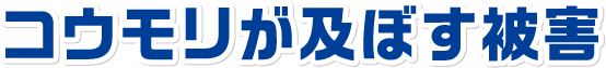 コウモリが及ぼす被害