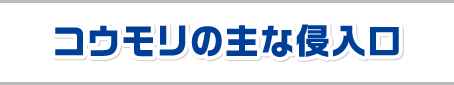 コウモリの主な侵入口