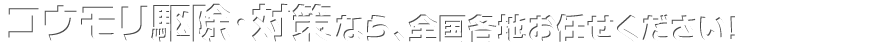 コウモリ駆除・対策なら全国どこでも、お任せください！
