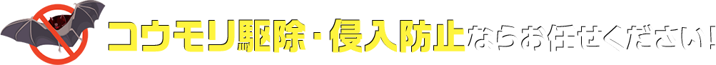 コウモリ駆除・侵入対策ならお任せください