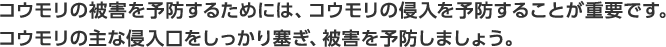 コウモリの被害を予防するためには、コウモリの侵入を予防することが重要です。コウモリの主な侵入口をしっかり塞ぎ、被害を予防しましょう。