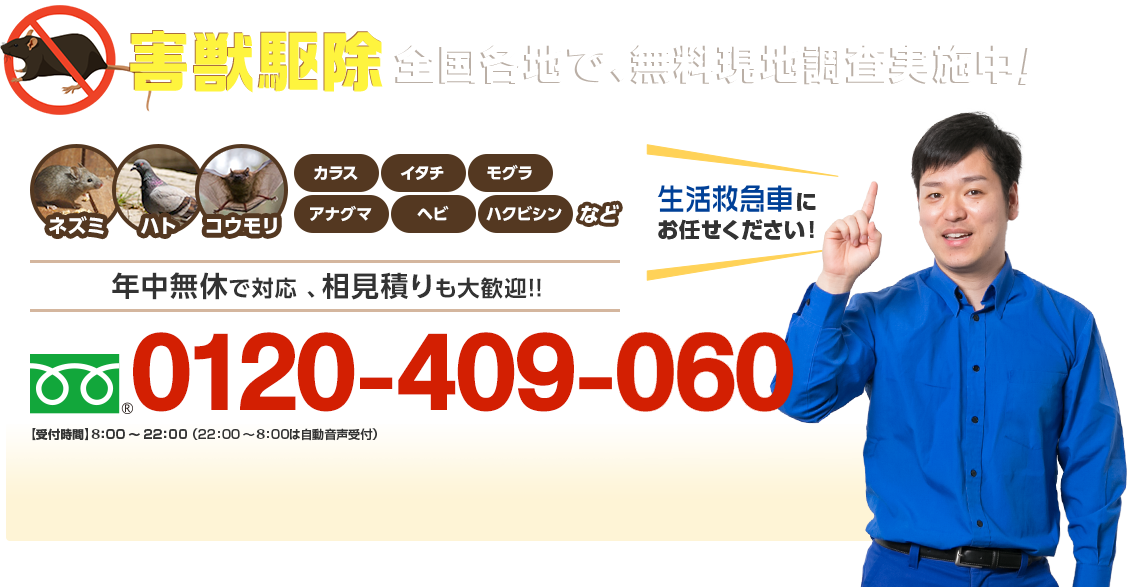 害獣駆除なら全国どこでもお任せください！ ネズミ・ハト・コウモリ・カラス・イタチ・モグラ・アナグマ・ヘビ・ハクビシンなど 日本全国、年中無休で対応、相見積りも大歓迎！！ フリーダイヤル : 0120-409-060