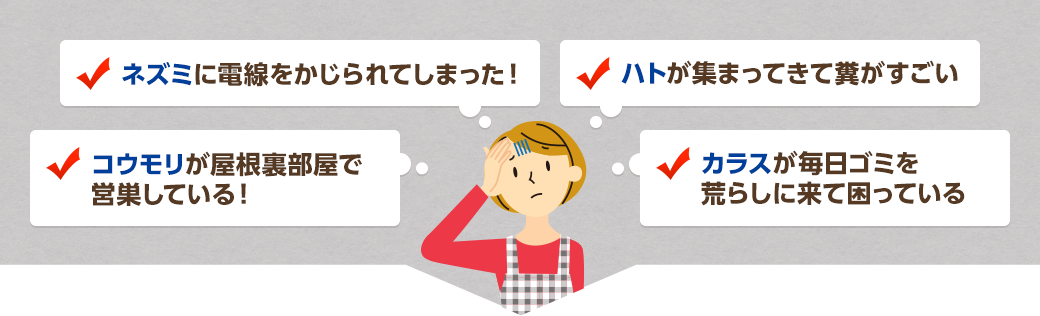 ネズミに電線をかじられてしまった ハトが集まってきて糞がすごい コウモリが屋根裏部屋で営巣してる カラスが毎日ゴミを荒らしに来て困っている