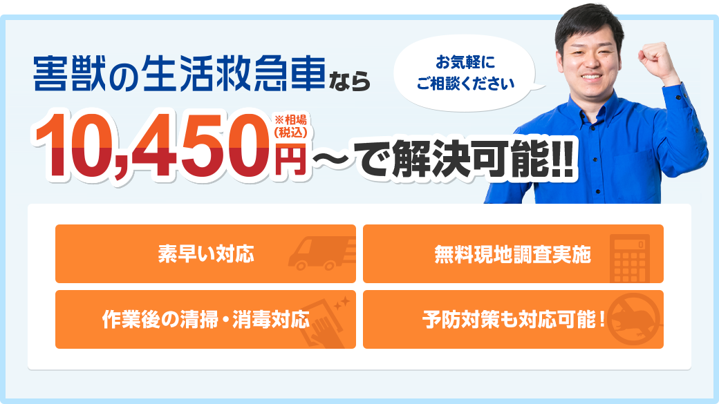 害獣の生活救急車なら素早い対応 無料現地調査実施 作業後の清掃・消毒対応 予防対策も対応可能