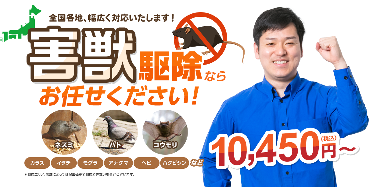 害獣駆除ならお任せください！ ネズミ ハト コウモリ カラス イタチ モグラ アナグマ ヘビ ハクビシンなど
