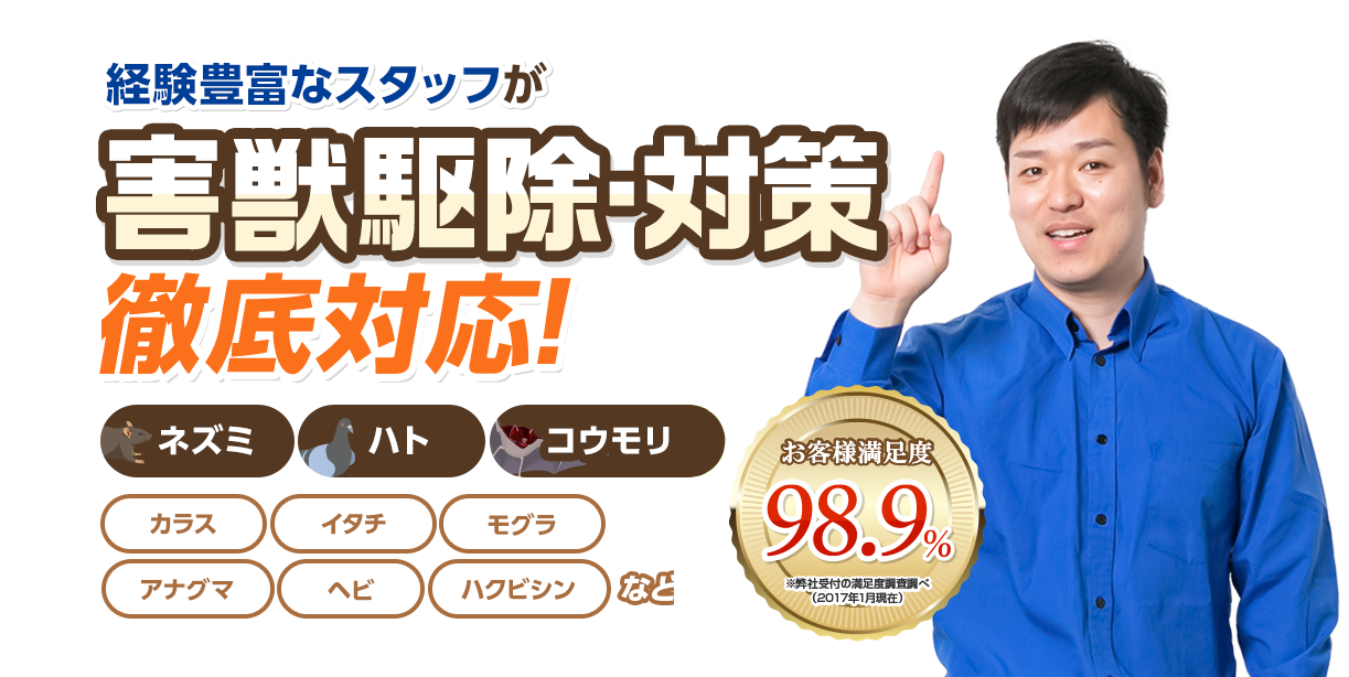 経験豊富なスタッフが害獣駆除・対策徹底対応！ ネズミ ハト コウモリ カラス イタチ モグラ アナグマ ヘビ ハクビシンなど