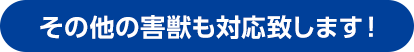 その他の害獣も対応致します！