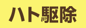 ハト駆除