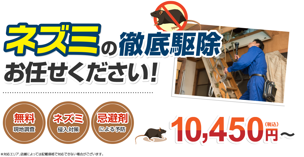 ネズミの徹底駆除はお任せください!