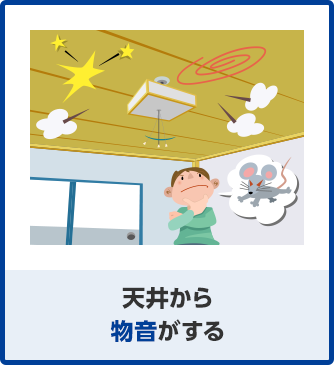 天井から物音がする