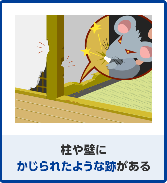 柱や壁にかじられた跡がある