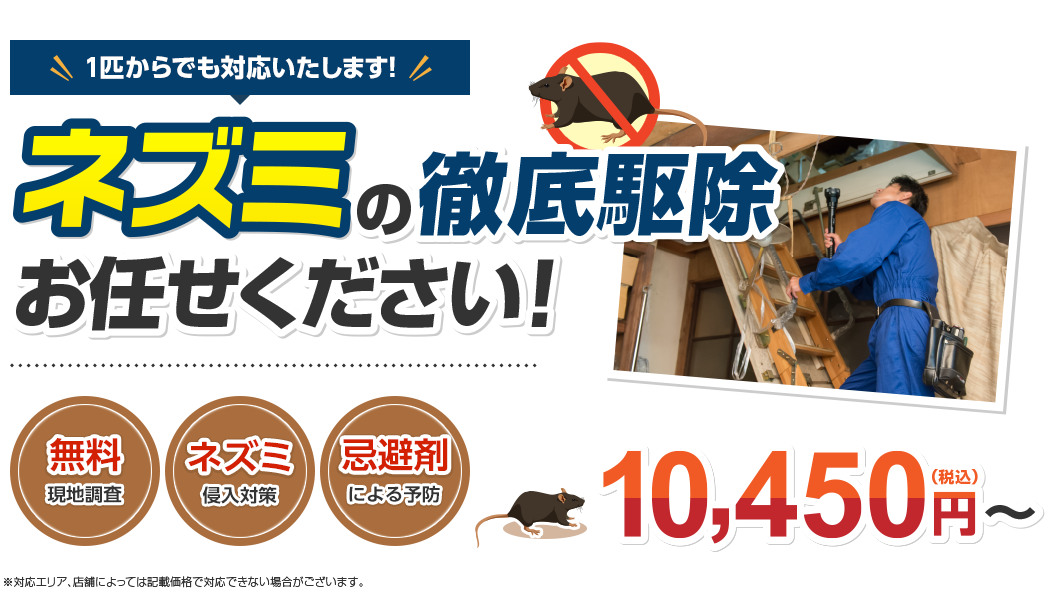 ネズミの徹底駆除はお任せください!