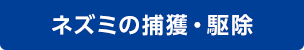 ネズミの捕獲・駆除