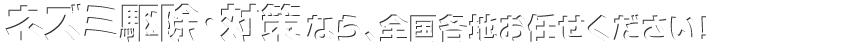 ネズミ駆除・対策なら全国どこでも、お任せください！