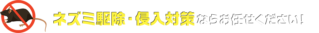 ネズミ駆除・侵入対策ならお任せください