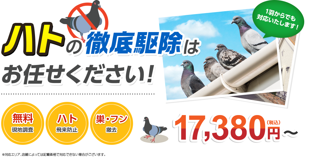 ハトの徹底駆除はお任せください!
