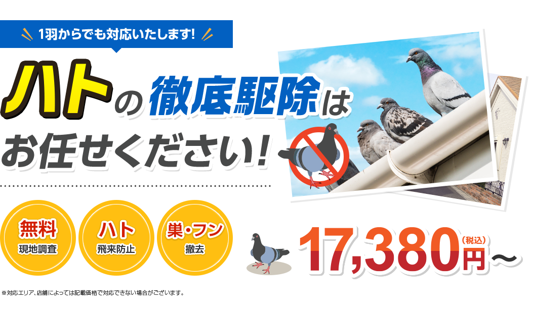 ハトの徹底駆除はお任せください!