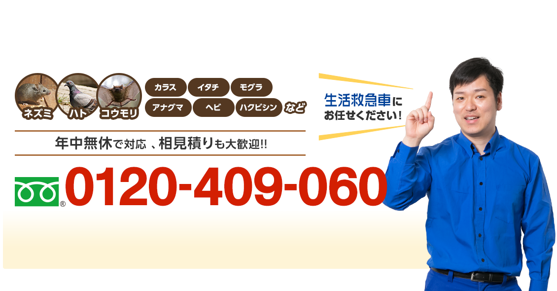 ネズミ ハト コウモリ カラス イタチ モグラ アナグマ ヘビ ハクビシンなど 日本全国、年中無休で対応、相見積りも大歓迎！ フリーダイヤル : 0120-409-060