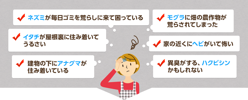 ネズミが毎日ゴミを荒らしに来て困っている モグラに畑の農作物が荒らされてしまった イタチが屋根裏に住み着いてうるさい 家の近くにヘビがいて怖い 建物の下にアナグマが住み着いている 異臭がする、ハクビシンかもしれない