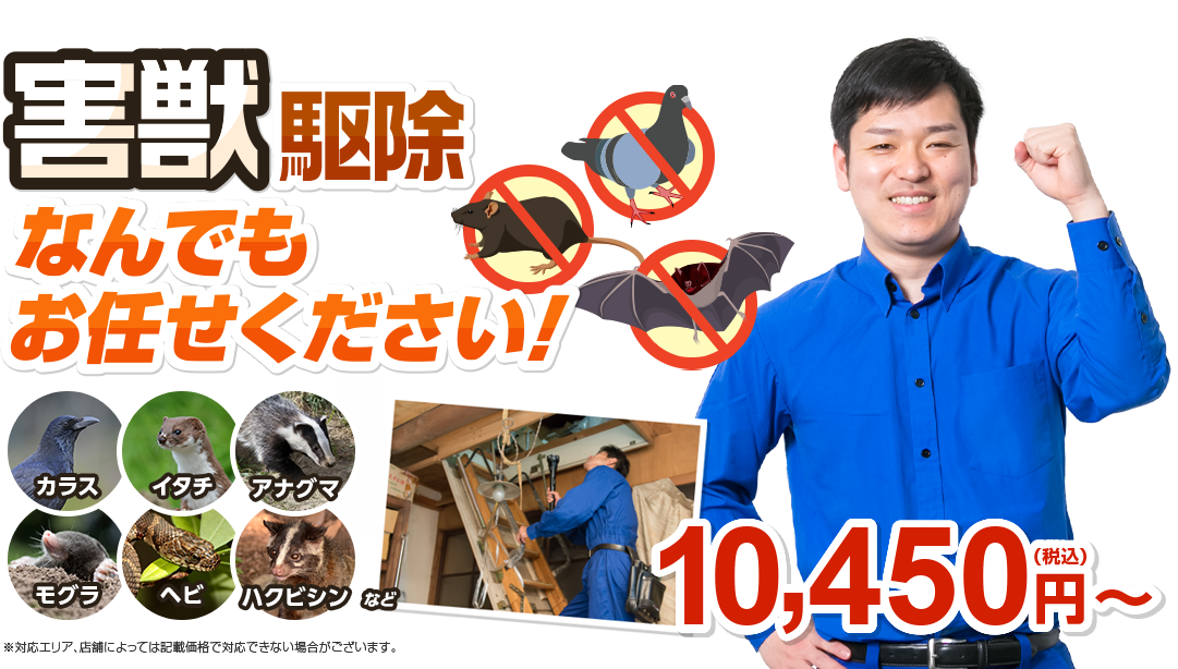 害獣駆除ならなんでもお任せください！