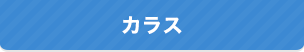 カラス