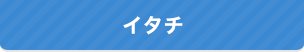イタチ