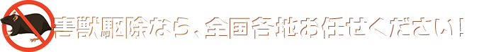 害獣駆除・対策なら全国どこでも、お任せください！
